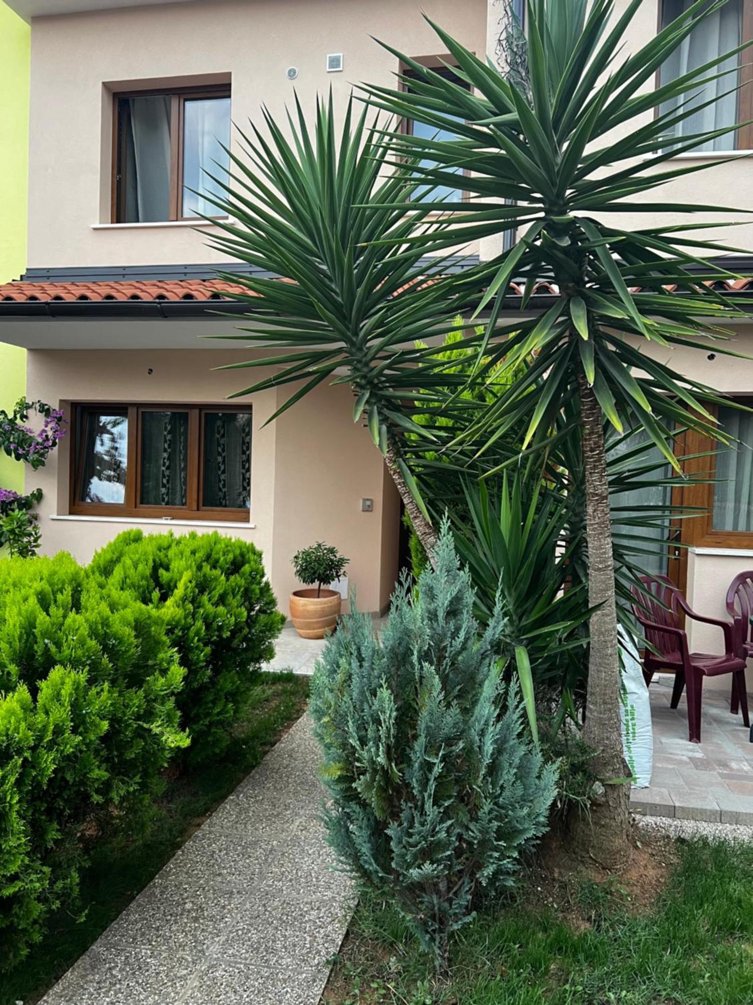 Eden Apartment Пула Екстериор снимка
